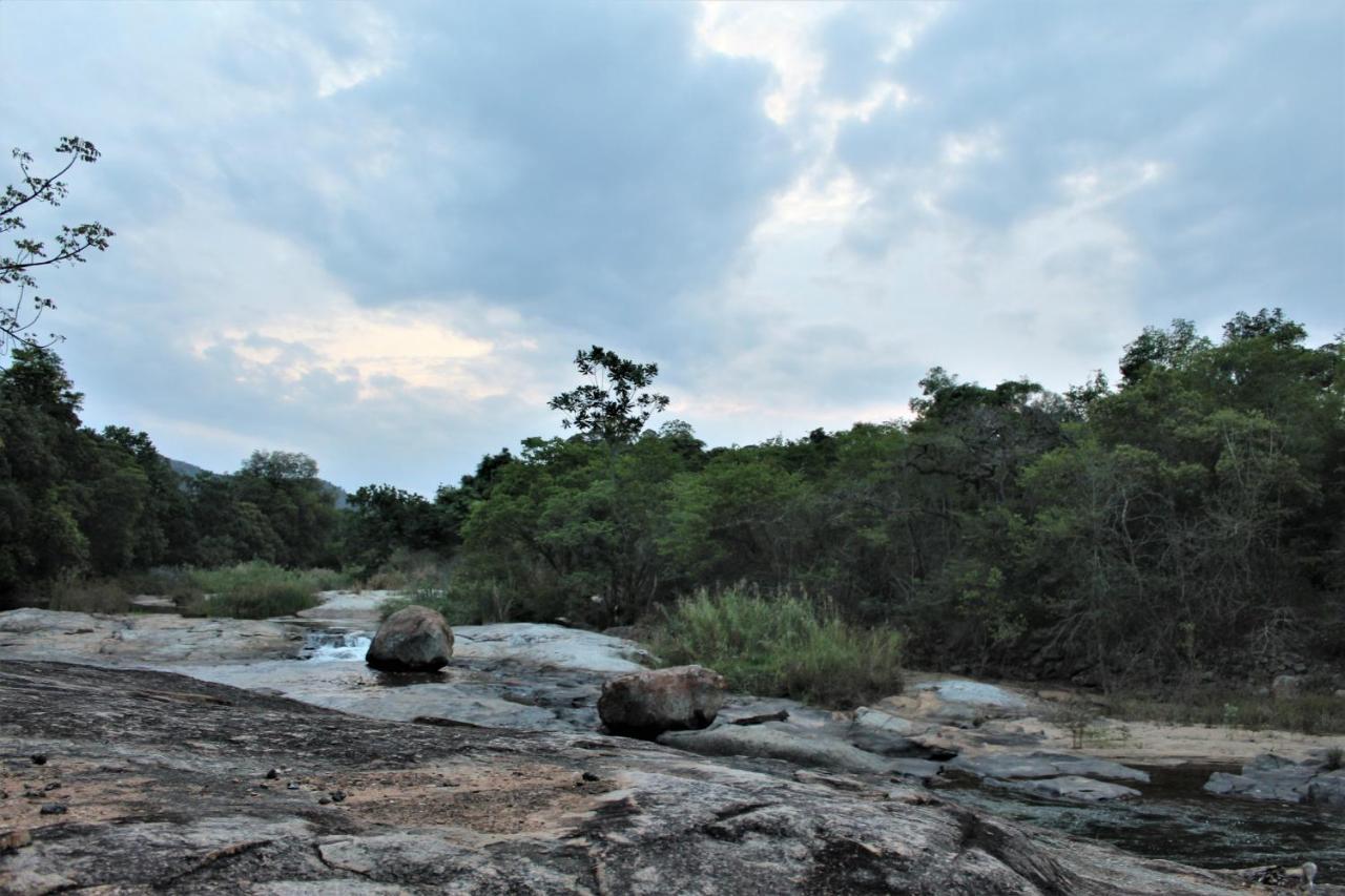 Lions Rock Rapids - Lodge Хейзивью Экстерьер фото